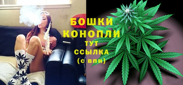 прущие крисы Балахна